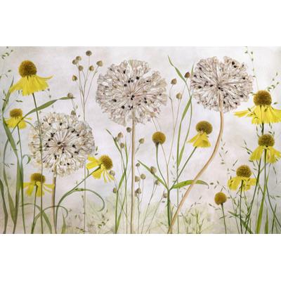Fototapete PAPERMOON "Photo-Art MANDY DISHER, ALLIEN UND HELENIENS", bunt, B:3,5m L:2,6m, Vlies, Tapeten