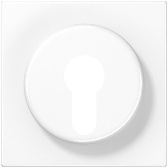 Jung Cache aws pour interrupteur à clé LS 928 WW (LS928WW)