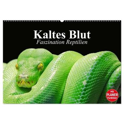 Kaltes Blut. Faszination Reptilien (Wandkalender 2027 DIN A2 quer), CALVENDO Monatskalender