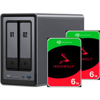 DXP2800 + 2x 6 TB Seagate IronWolf HDD Bundle, NAS