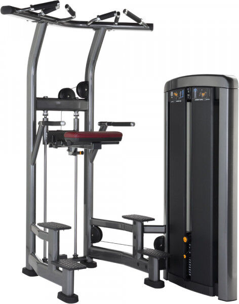 Life Fitness Insignia Series Assisted Dip/Chin Machine