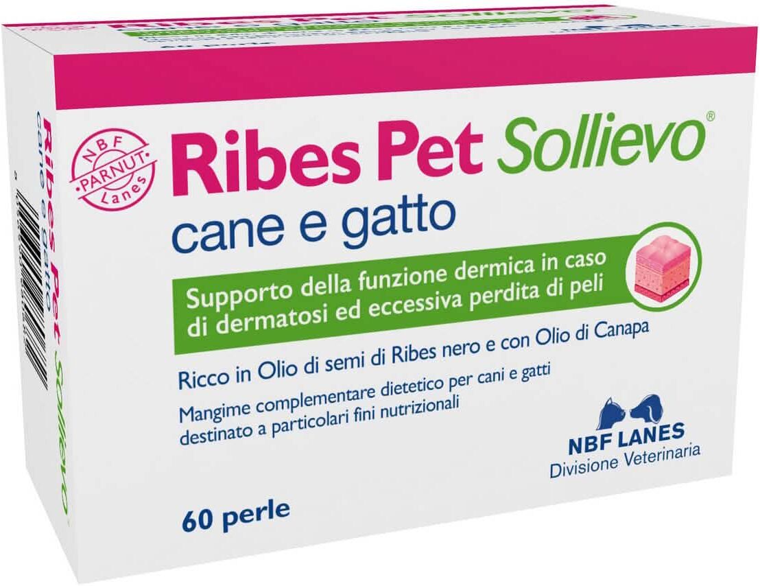 N.b.f. lanes Ribes pet sollievo blister 60 perle