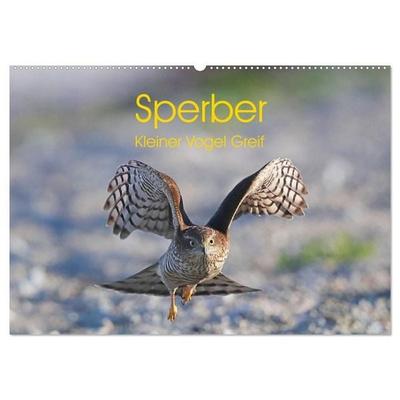 Sperber - Kleiner Vogel Greif (Wandkalender 2027 DIN A2 quer), CALVENDO Monatskalender