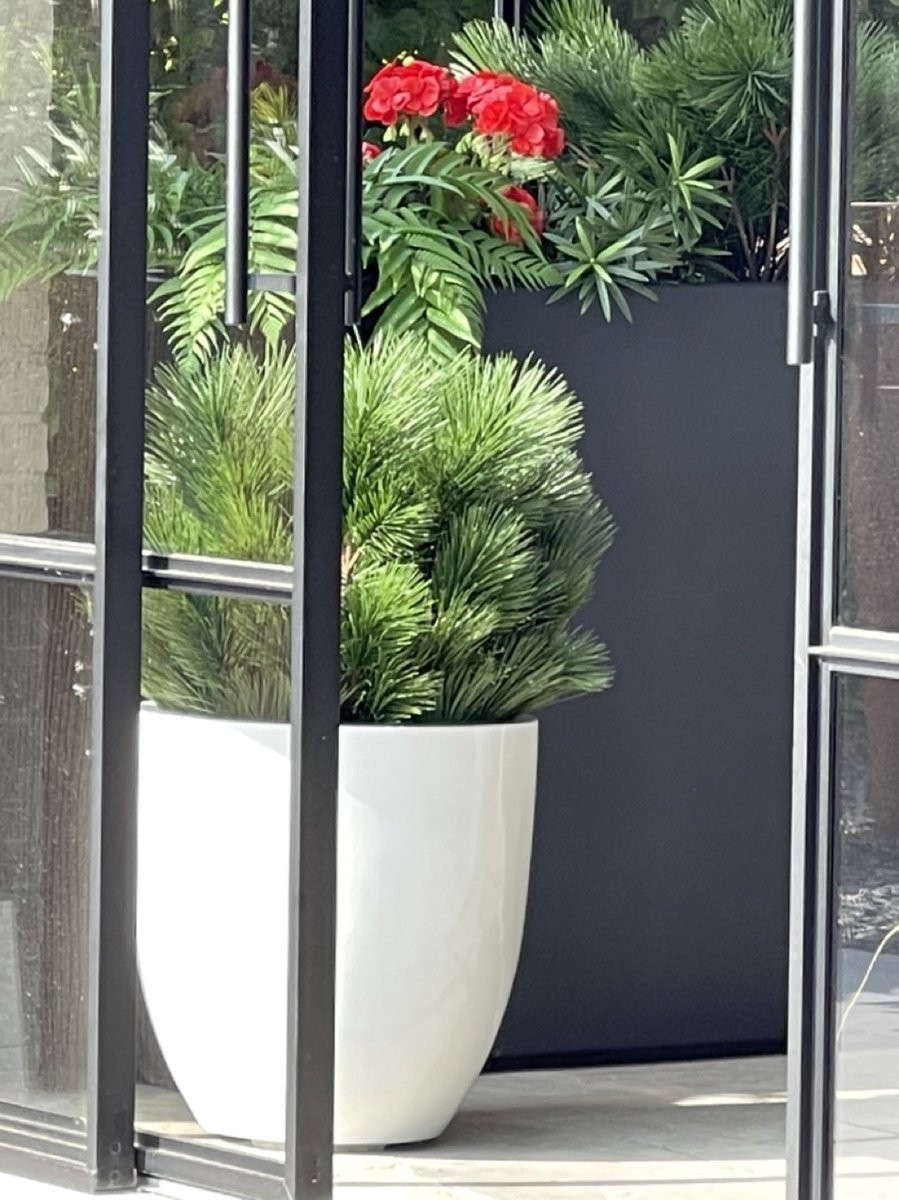 LeopoldFlora Kunststruik Pinus Den 60 cm UV-bestendig