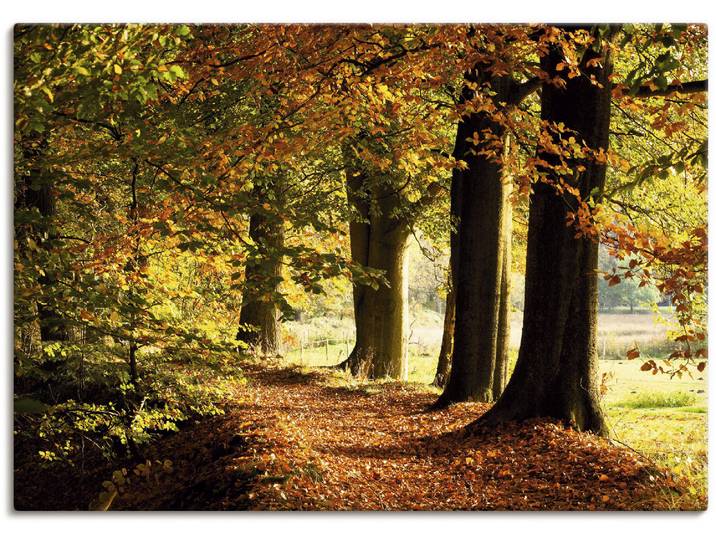 Leinwandbild ARTLAND Herbstfarben , gelb (farbe bild(er): gelb), B:100cm H:70cm, Bilder, Leinwandbild, auf Holzrahmen gespannt