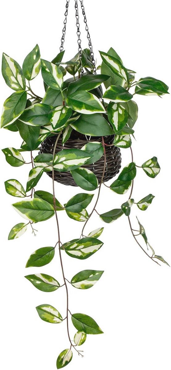 Kunstmatige hangplanten met potten voor muurdecoratie - Faux Pothos en Eucalyptus