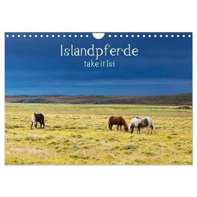 Islandpferde take it Isi (Wandkalender 2027 DIN A4 quer), CALVENDO Monatskalender