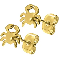 Titan Ohrstecker KRABBE