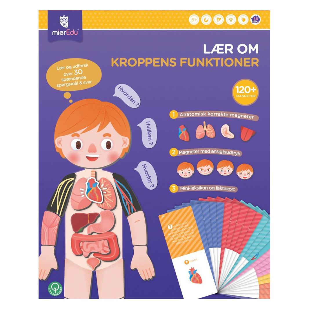 mierEdu Magnetic Learning Box - All About Body and Emotion (Danish) - (ME097D) (Dänisch, 5 - 10 Jahre) (ME097D)