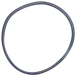 Unger 19021 nLite® HydroPower DI Dichtungsring Ersatzdichtung für Unger Reinwasserfilter DI