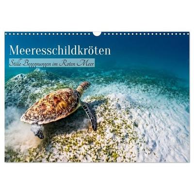 Meeresschildkröten: Stille Begegnungen im Roten Meer (Wandkalender 2027 DIN A3 quer), CALVENDO Monatskalender