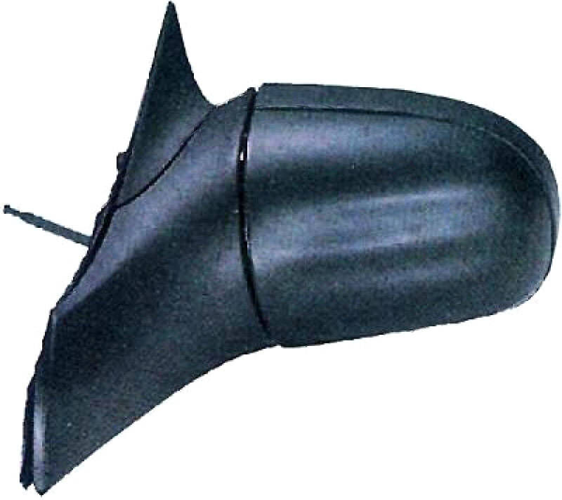 DIEDERICHS 1812025 Wing mirror