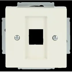 Busch-Jaeger Zentralscheibe elf/ws 2561-82