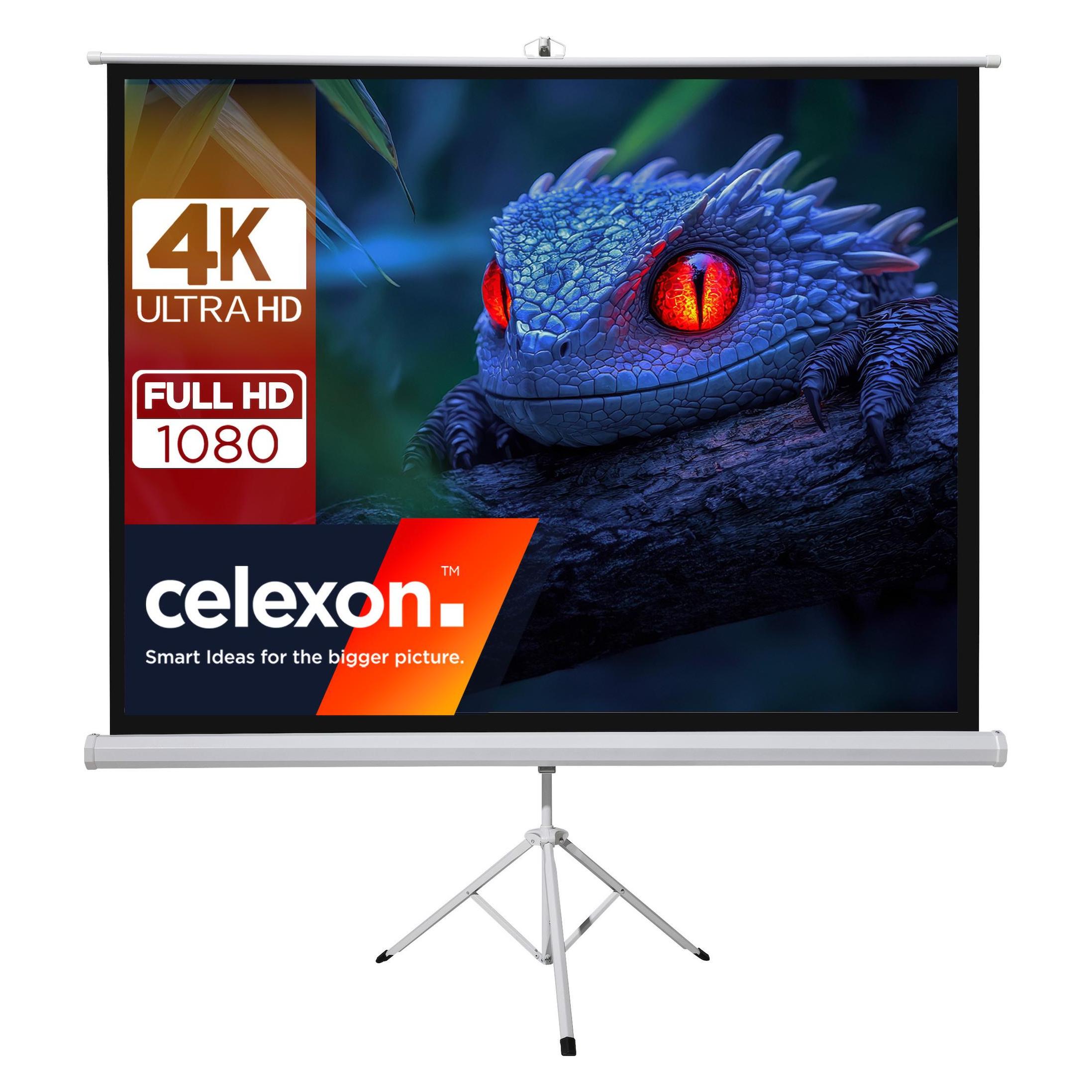 Celexon basic mobile Beamer-Stativ-Leinwand in wenigen Minuten Auf-/Abgebaut - optimal für Heimkino (200", 1:1) (42583966)