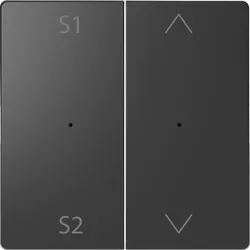 Merten Wippe f. Tastermodul 2f. MEG5227-6034