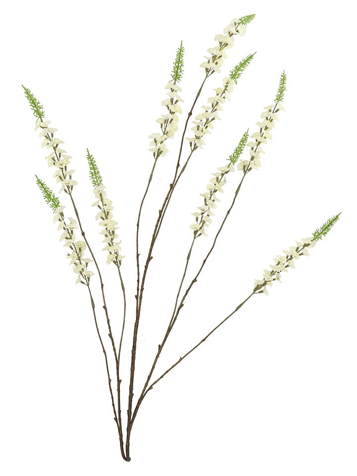 daan kromhout Dekozweig "Campanula" in Weiß/ Grün - (H)146 cm - onesize