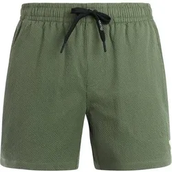 PROTEST Herren Badeshorts PRTWytona, Größe S in Grau Grau