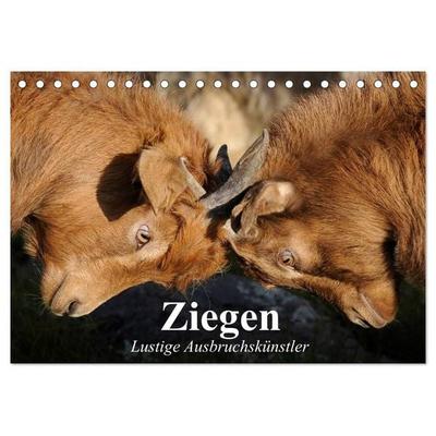 Ziegen. Lustige Ausbruchskünstler (Tischkalender 2027 DIN A5 quer), CALVENDO Monatskalender