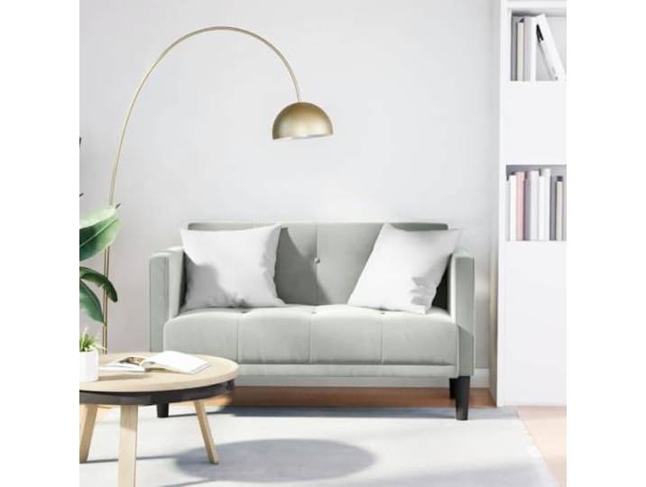 HEFZGDB Zweisitzer Sofa Hellgrau 111 cm Samt Stoffbezug mit Polsterung und Federkern für Wohnzimmer, Robustes Gestell aus Sperrholz, Bequemes Sitzgefühl, Stilvolles Design