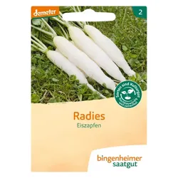 Bingenheimer Saatgut Radies Eiszapfen demeter