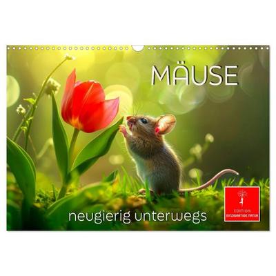 Mäuse - neugierig unterwegs (Wandkalender 2027 DIN A3 quer), CALVENDO Monatskalender