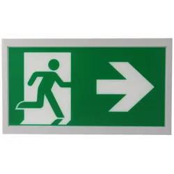 Ceag Notlichtsysteme Piktogrammscheibe 1-seitig 40071354531