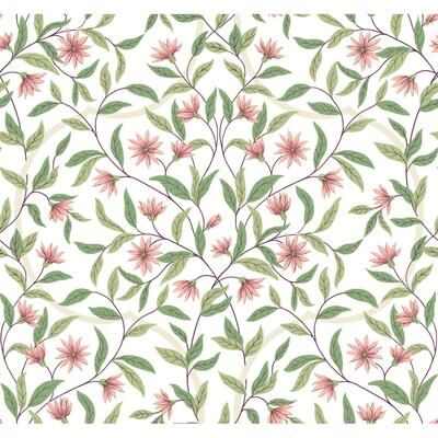 York Wallcoverings Jasmine Coral Wallpaper