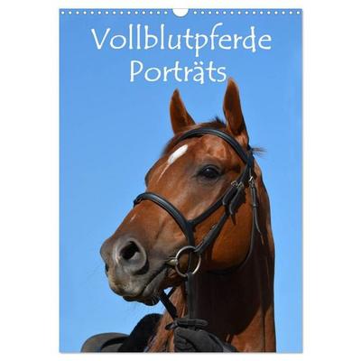 Vollblutpferde Porträts (Wandkalender 2027 DIN A3 hoch), CALVENDO Monatskalender