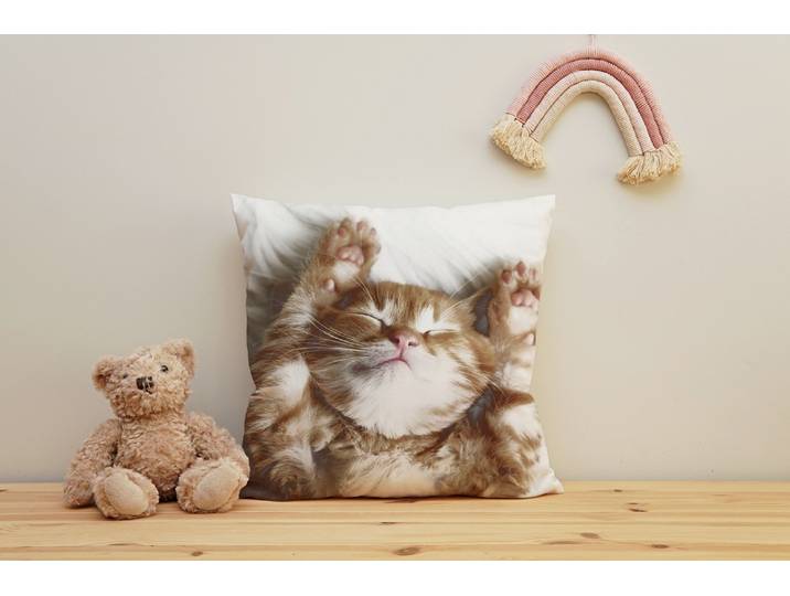 Dekokissen QUEENCE Katzenbaby , weiss (weiß, bedruckt), B:40cm H:1cm L:40cm, Polyester, Dekokissen_Sitzkissen_Kissenhüllen, Dekokissen, Kissenhülle mit HD Premium Druck, geruchsneutral, 40x40cm