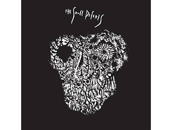 Skull Defekts - Skull Defekts
