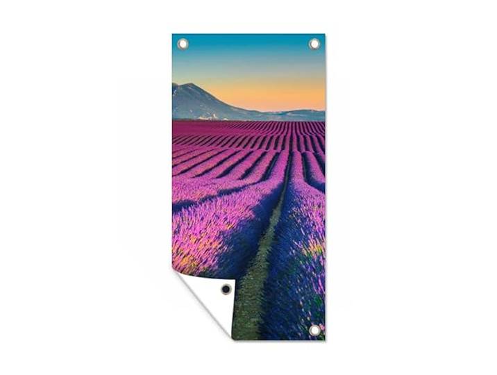 Tuinposter - 80x160 cm - Lavendel - Berg - Bloemen