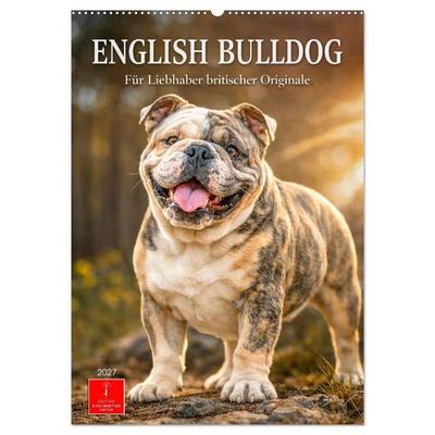 English Bulldog - Für Liebhaber britischer Originale (Wandkalender 2027 DIN A2 hoch), CALVENDO Monatskalender
