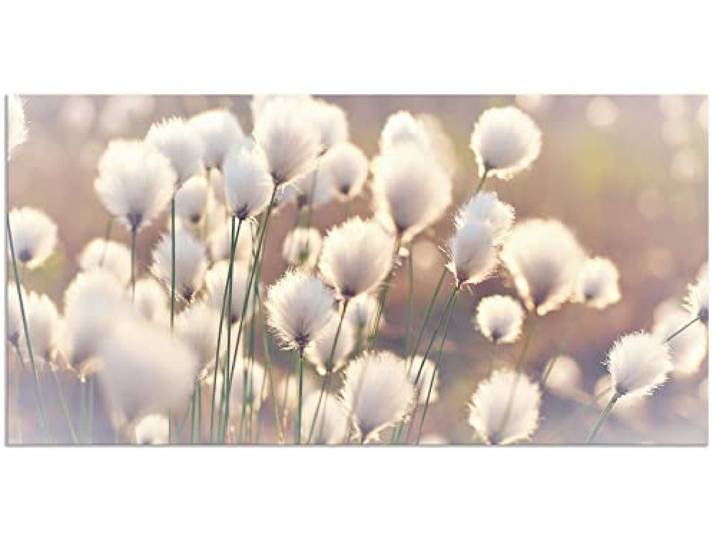 ARTland Wanddeko Wandbild Alu Verbundplatte für Innen & Outdoor Bild Natur Zauber Idyll Frühling Moor Pflanzen Gräser Blumen Wollgras T2BZ