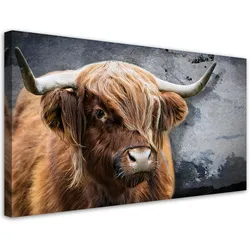 LEINWANDBILD Schottische Kuh Tier Natur 100x50cm