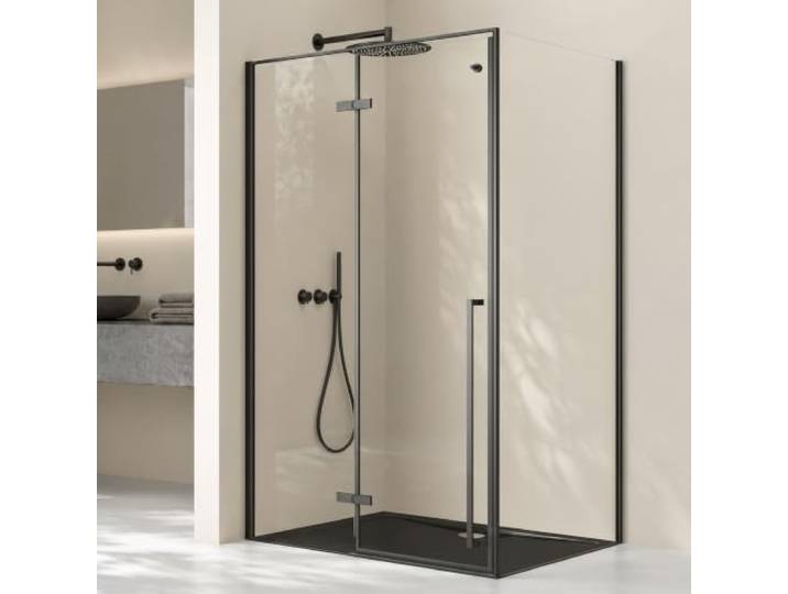 doporro Cabine de Douche 80x100x195cm Porte Pivotante Paroi de Douche Verre de Sécurité Transparent\, Profilé Noir\, Montage Réversible\, Ravenna64K