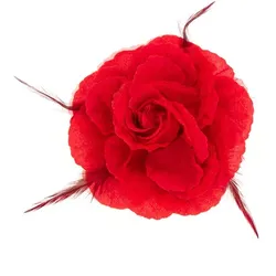 Klammer Rose