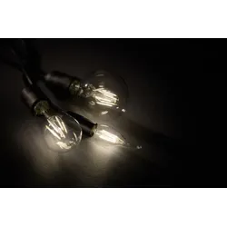 LED Glühbirne Trio Globe Transparent 985-6810