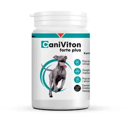 VETOQUINOL Caniviton forte plus - 90 tab.