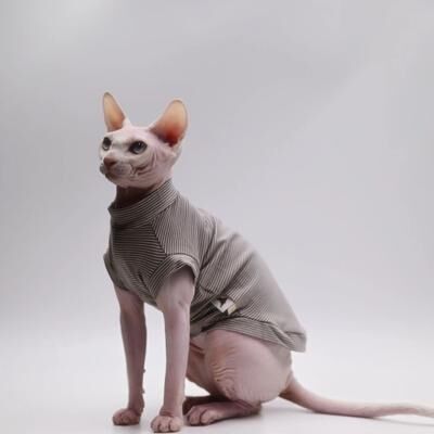 Inspired Living CoolComfort Hairless Cat Summer Vest Soft Stretch Sphynx Cat Clothes & Breathable Hairless Cat Shirt gray m