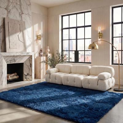 SAFAVIEH Rainbow Alvisa Shag Rug