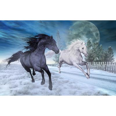 Fototapete PAPERMOON "PFERDE-NATUR MOND TIERE PONY BÄUME PFERD WANDBILD DEKO", bunt, B:4,5m L:2,8m, Vlies, Tapeten