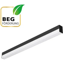 EVN, Bilderleuchte + Spiegelleuchte, LED-Wandleuchte (1270 lm)