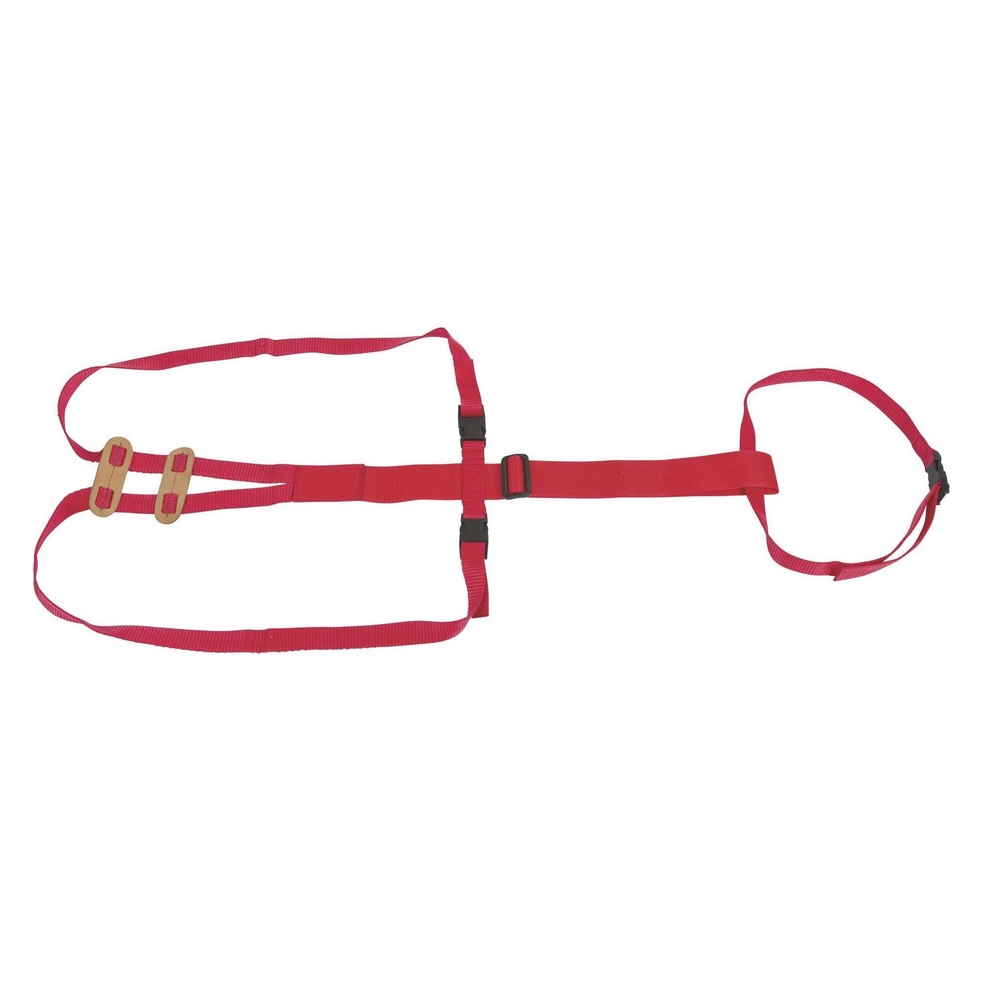 Kerbl Vorfallbandage für Schafe (10303)