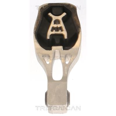 TRISCAN Lagerung, Motor 850510130 für DS