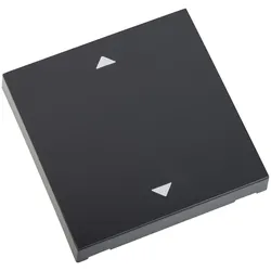 ELDAT RTS22-ACC-03-24P Wippe AUF/ZU Format 55 anthrazit für Wandsender RTS22
