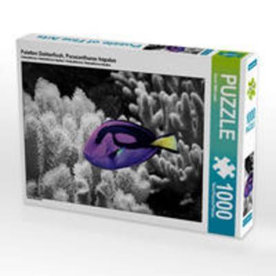 CALVENDO Puzzle Paletten Doktorfisch, Paracanthurus hepatus | 1000 Teile Lege-Größe 64x48cm Foto-Puzzle für glückliche Stunden