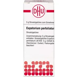 Eupatorium Perfol Lm Xxx 5 G