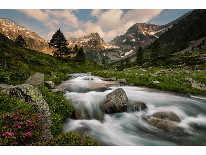 Fototapete PAPERMOON Photo-Art PAOLO BOLLA, MARITIME ALPEN PARK , bunt, B:4,5m L:2,8m, Vlies, Tapeten, Fototapete