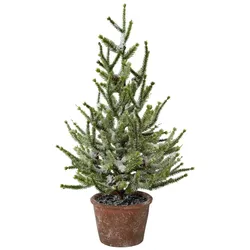 CREATIV green künstliche Pflanze Fichte mit Schnee im Topf, 55 cm, schnee
