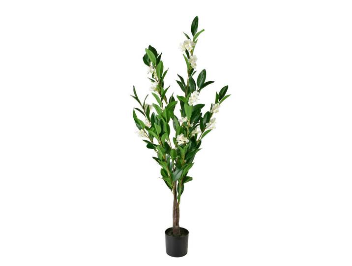 Mondex Kunstblume Viridis Weiß 13x12x117 cm Kunststoff, 117 cm, Dekoration, Blumen & Blumentöpfe, Kunstblumen